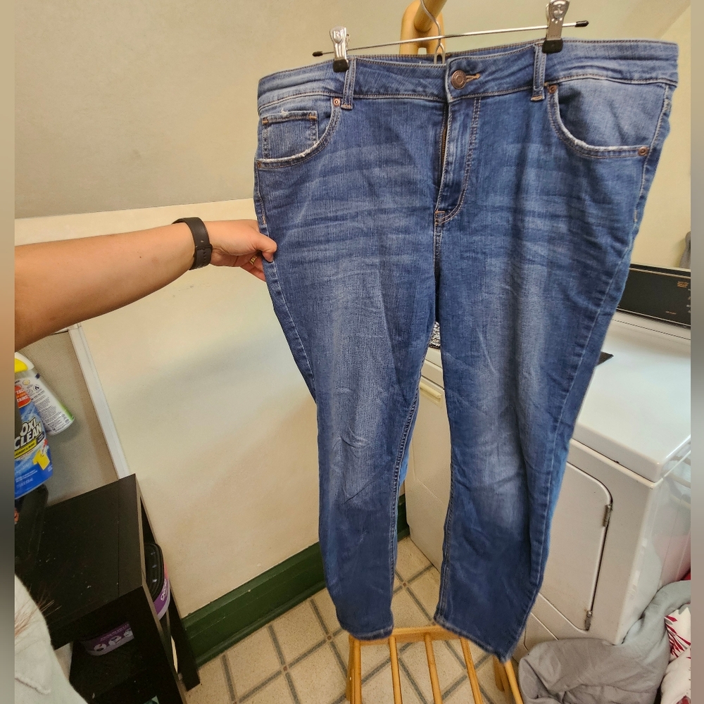Maurice's 18 Short Jeans